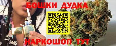 гашик Будённовск