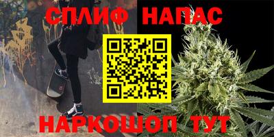 гашик Будённовск