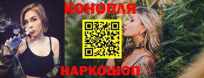 гашик Будённовск