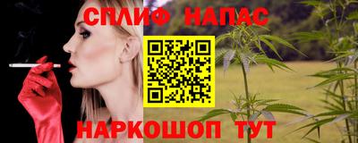 гашик Будённовск