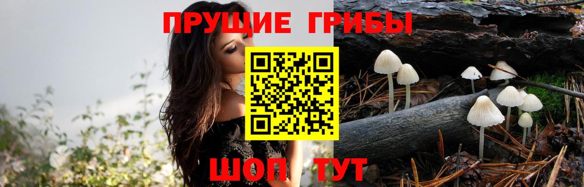 Реутов  купить наркоту  Вход с VPN  Псилоцибиновые грибы прущие грибы 